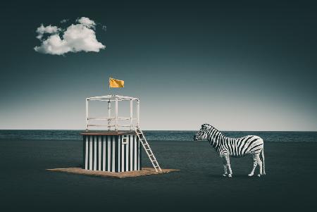 Zebra-Stil