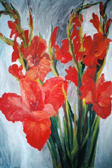 Red Gladioli