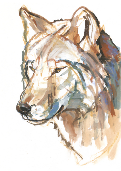 Wolf von Mark  Adlington