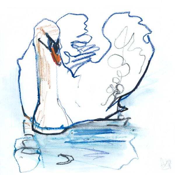 Swan Lake von Mark  Adlington
