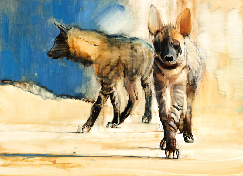 Striped Hyaenas von Mark  Adlington