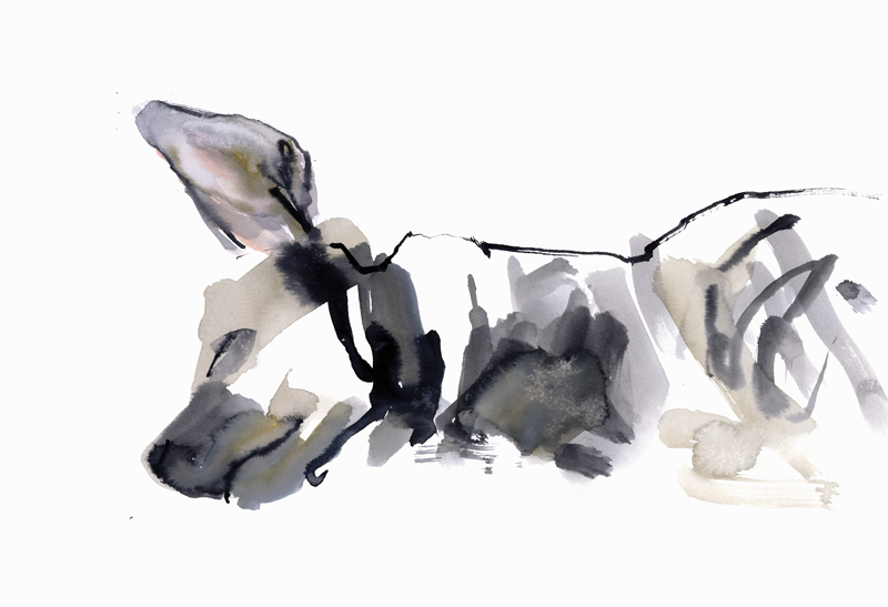 Sleeping Hyaena von Mark  Adlington