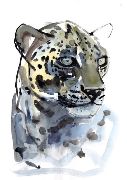 Arabian Leopard von Mark  Adlington