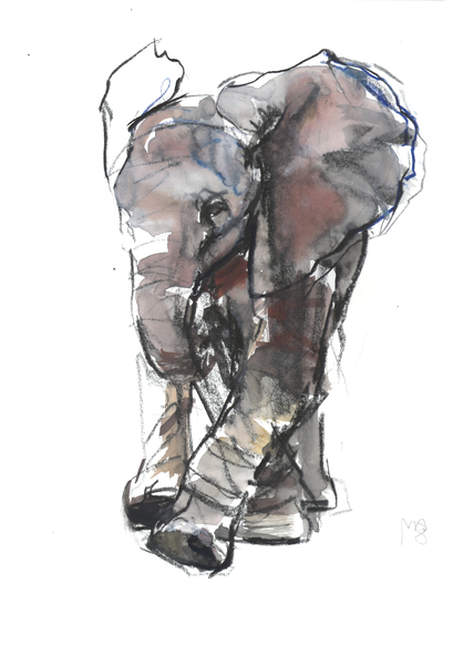 Baby Elephant Study von Mark  Adlington