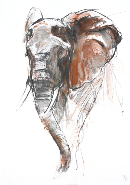 Beautiful Female Elephant, Loisaba von Mark  Adlington