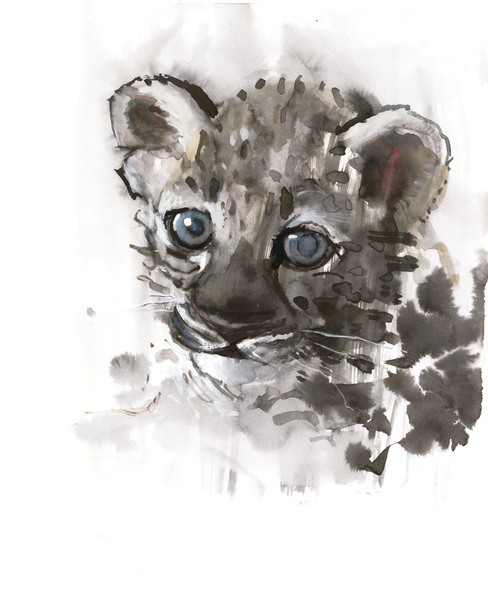 Blue Eyes (Arabian Leopard Cub) von Mark  Adlington