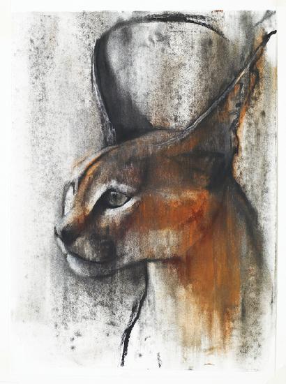 Egyptian (Arabian Caracal) 2009