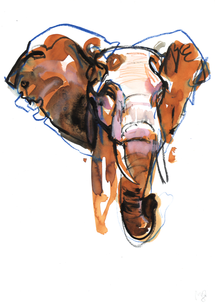 Elephant Head study von Mark  Adlington