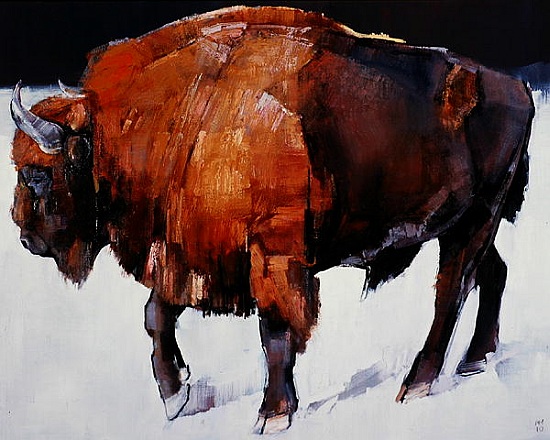 European Bison von Mark  Adlington