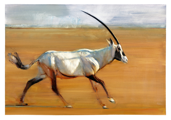 Galloping Oryx von Mark  Adlington