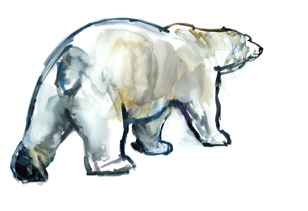 Glacier MInt (Polar bear) von Mark  Adlington