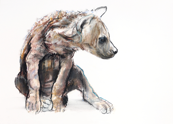Hyaena Pup (profile) von Mark  Adlington