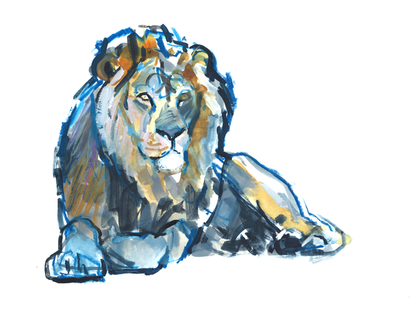 Lion von Mark  Adlington