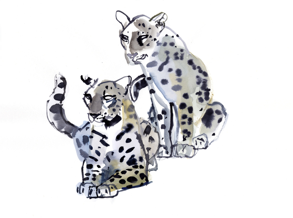 Mother and Son (Arabian Leopards) von Mark  Adlington
