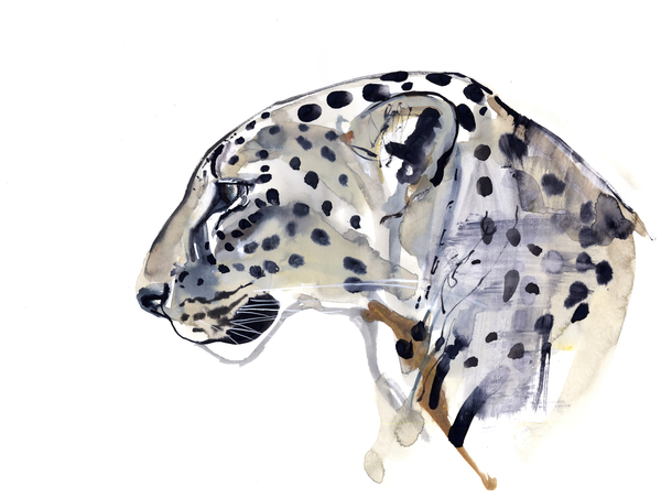 Profile (Arabian Leopard) von Mark  Adlington