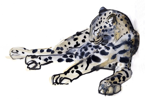 Recumbent (Arabian Leopard) von Mark  Adlington