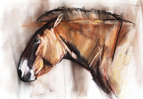 Resting Horse von Mark  Adlington