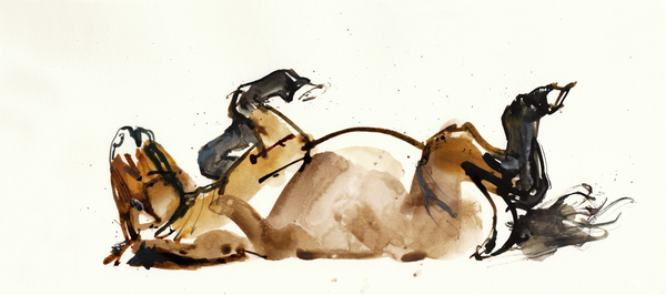 Rolling Horse (Przewalski) von Mark  Adlington