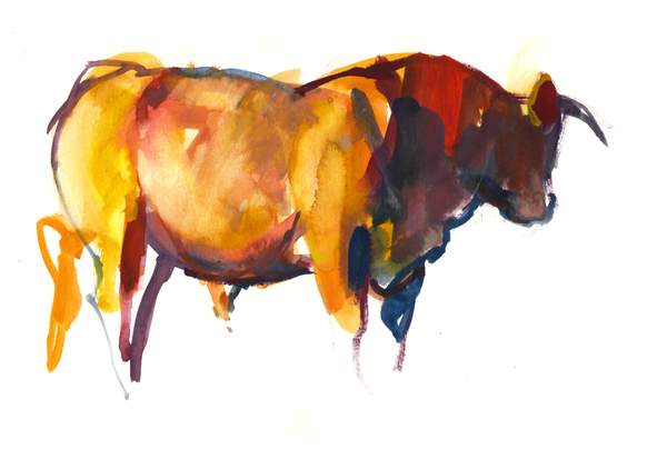 Sunset Bull von Mark  Adlington