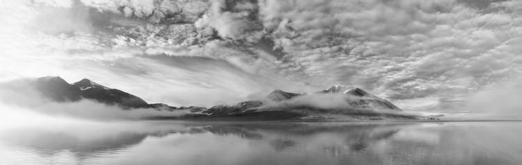 Morning mist von Marloes Van Pareren