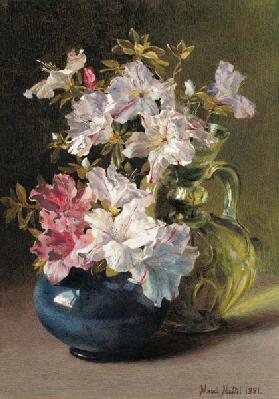 Azaleas in a Jug