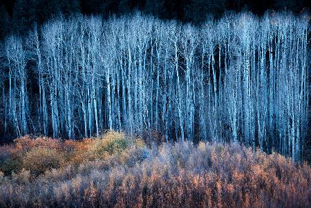 Ende Herbst