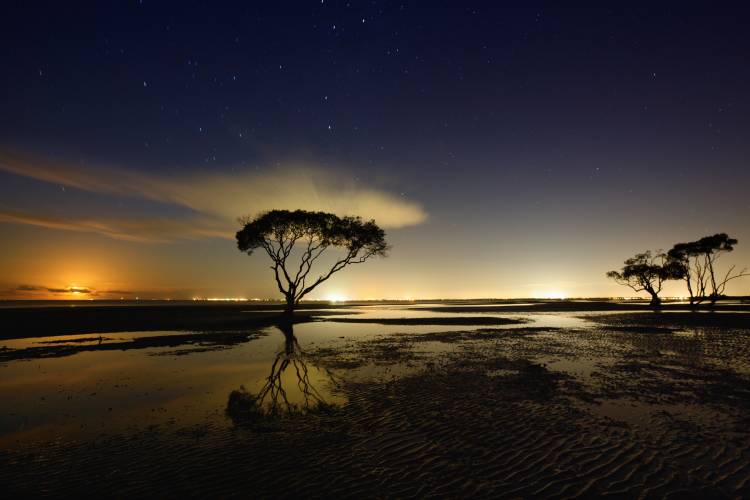 Moonrise von Mel Brackstone