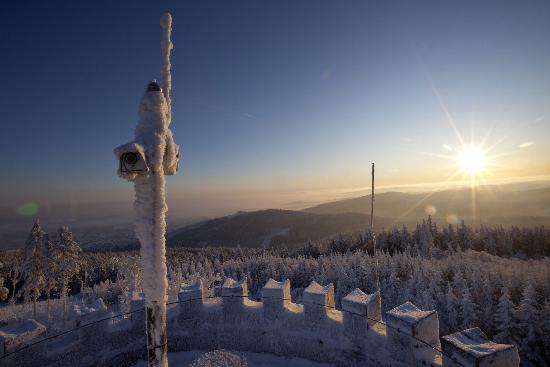 Sonnenaufgang am Kickelhahn von Michael Reichel