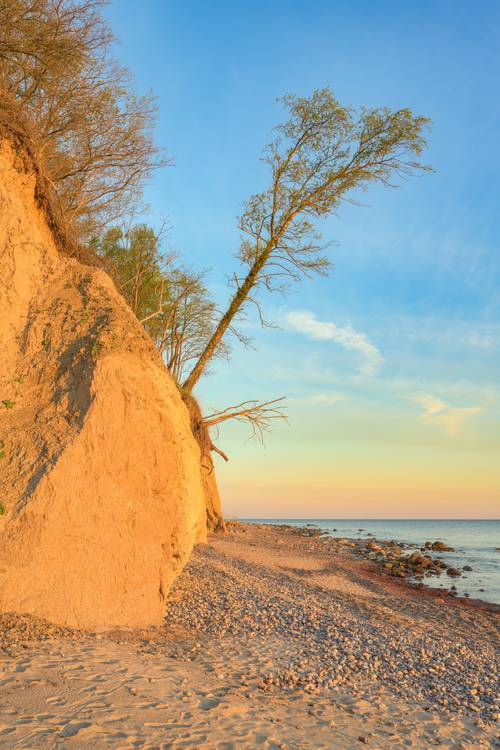 Steilküste an der Ostsee - Geinitzort bei Warnemünde von Michael Valjak