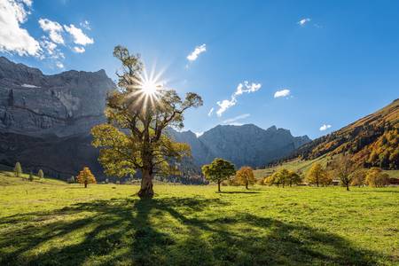 Gegenlicht am Großen Ahornboden