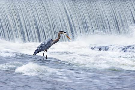 Angeln in stürmischen Gewässern