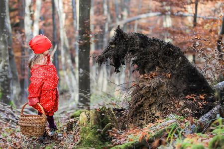 Rotkäppchen und der Wolf