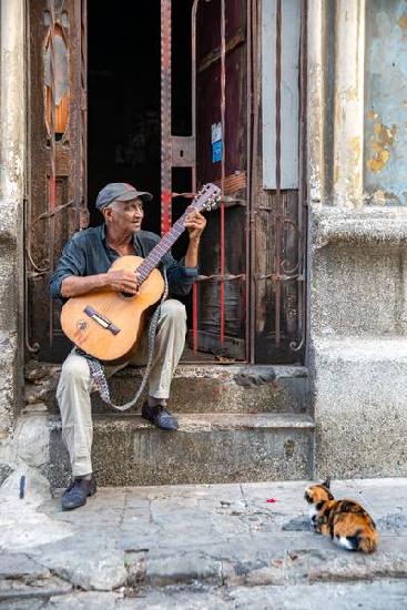 Song for a Cat in Havana, Kuba. 2020