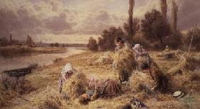 Haymaking