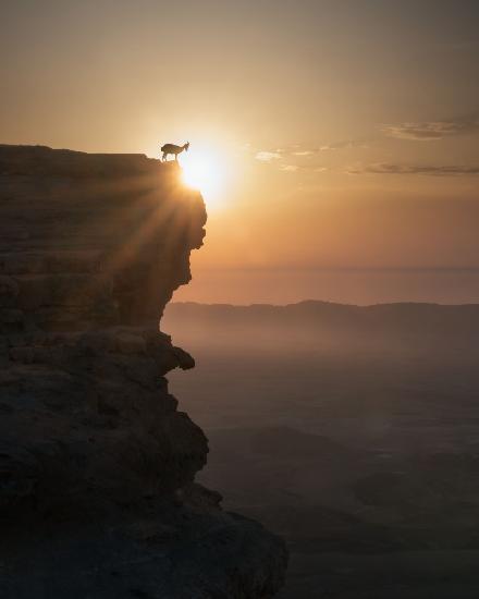 Sonnenaufgang in der Wüste