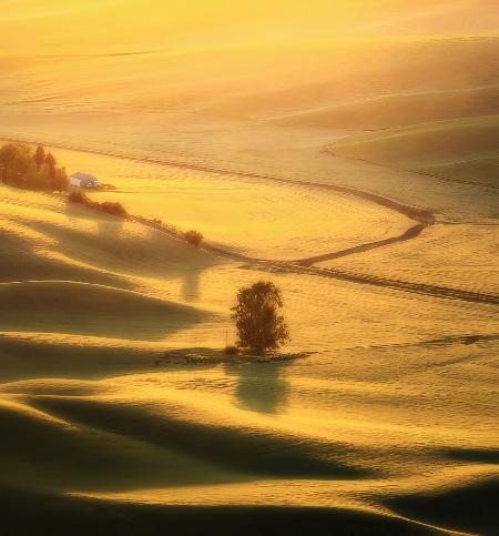 Die Ansicht von Palouse