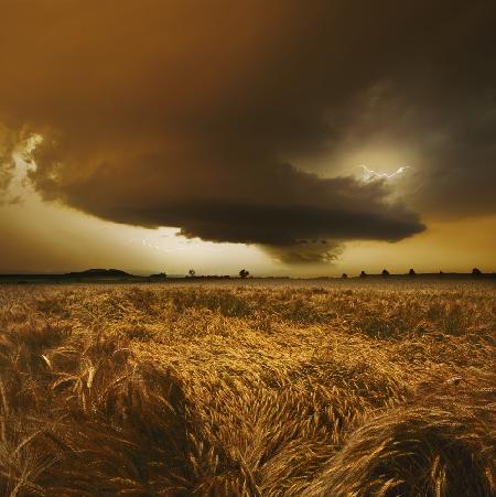 Spätsommer Stimmung