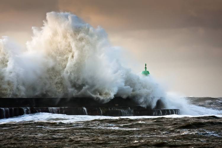 The Wall von Niels Christian Wulff