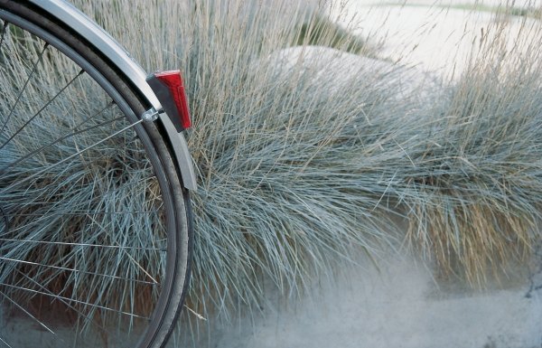 Bicycle at grass , Lausanne, Switzerland (photo)  von 