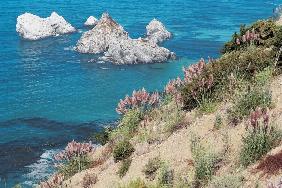 Big Sur (photo) 