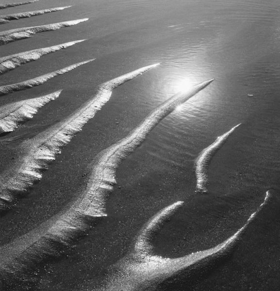 Creepers designs on sand in Porbandar area of Gujarat (b/w photo)  von 