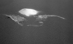 Foam and sand, Porbandar II (b/w photo) 