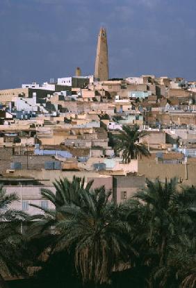 General View of the city (photo) 