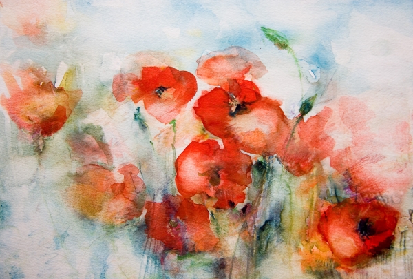 Mohnblumen Aquarell von 