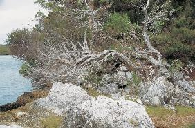 Port Davey National Park (photo) 