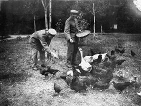 Rekonvaleszenten bei Gefluegelzucht/1914