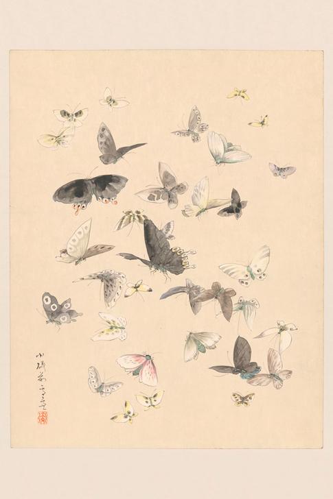 Schmetterlinge. von Katsushika Hokusai