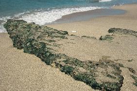 Sand surface near Porbundar (photo) 