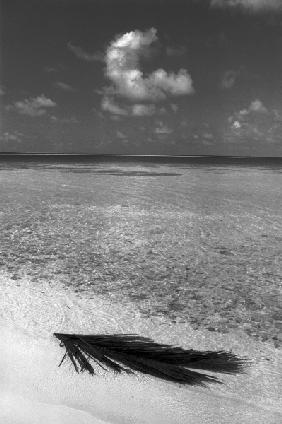 Sea view (b/w photo) 