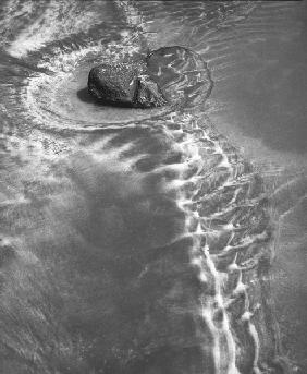 Stone in sea water in Porbandar (b/w photo) 